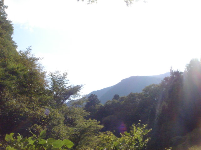 e0120131_11172596.jpg