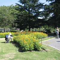 d0033734_16194169.gif