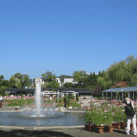 d0033734_1620570.gif