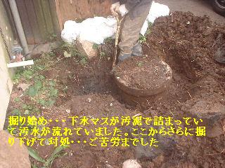下水工事・・・大工工事・・・ヘロヘロ 笑_f0031037_2044226.jpg