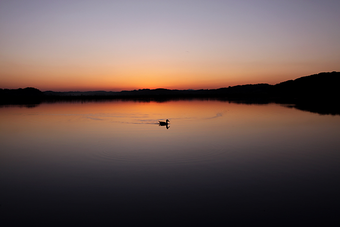The 50D\'s Afterglow♪_b0049843_17465410.jpg