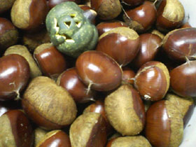 e0123943_8343847.jpg