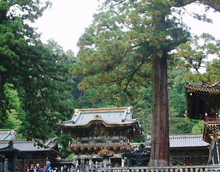 b0125650_22503237.jpg