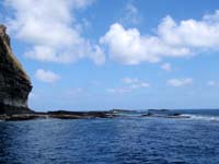 10月14日 水中寒い(>_<)_d0113459_19574082.jpg