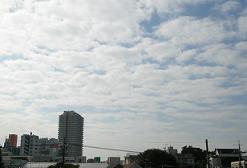 f0139963_771980.jpg
