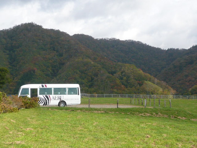 c0100865_664846.jpg