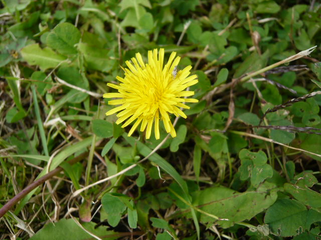 c0100865_672257.jpg