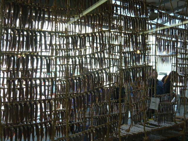 c0100865_685075.jpg