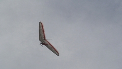 d0083265_20311236.jpg