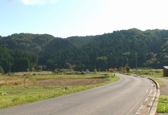 d0083265_21141595.jpg