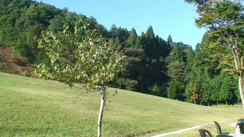d0083265_22405965.jpg