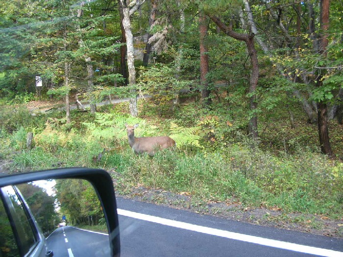 今度は紅葉を求めて、また蓼科へ。~前編~_b0125570_11334566.jpg