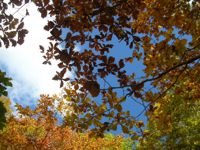 今度は紅葉を求めて、また蓼科へ。~前編~_b0125570_11345459.jpg
