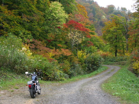 魅惑の紅葉・ワイディング・温泉_e0068873_18205085.jpg