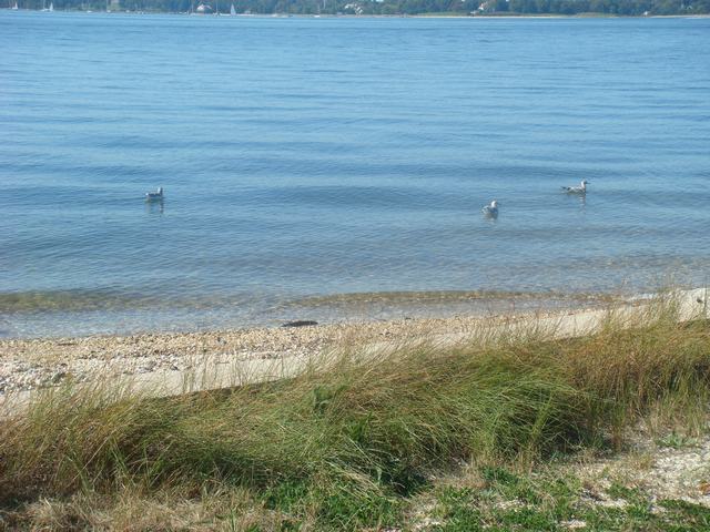 d0100880_1857311.jpg