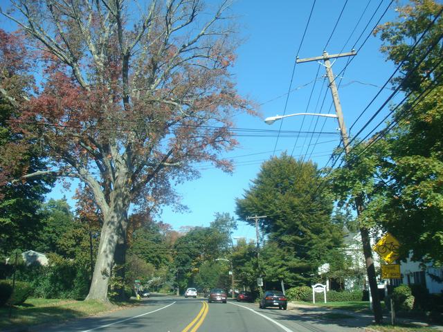 d0100880_5425677.jpg