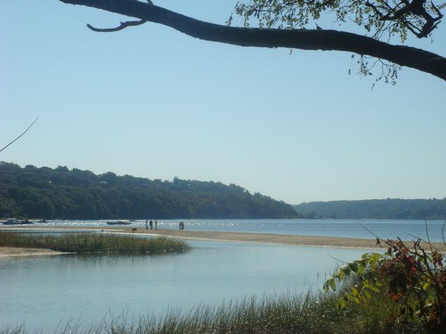 d0100880_5451540.jpg
