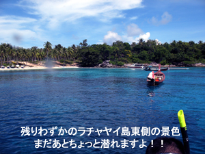 暴露したらウィルス? 上等です!!笑_f0144385_19113421.jpg