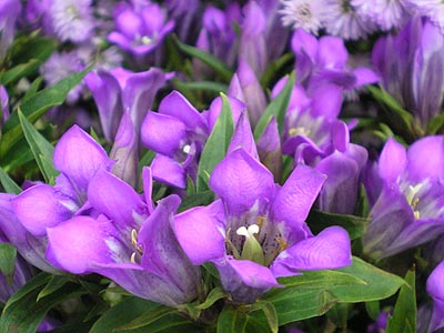 b0151490_0372637.jpg