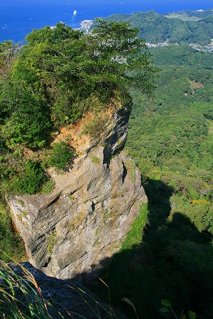 d0121294_1415053.jpg