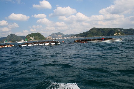 d0121294_1426523.jpg