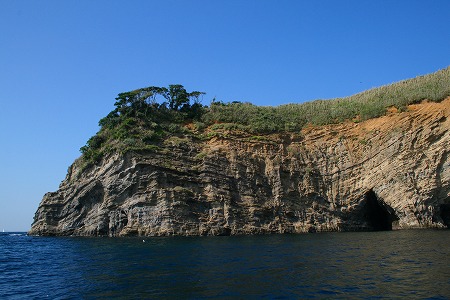 d0121294_14292179.jpg