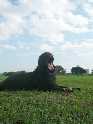 c0050400_23371510.jpg