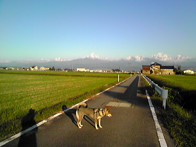 f0079202_1750305.jpg