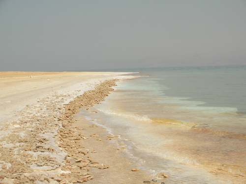 e0083204_010321.jpg