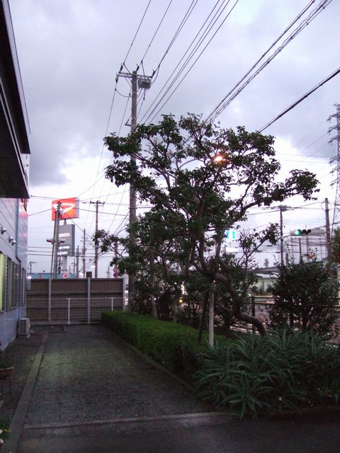 うーん、なんだか・・・_f0108604_1871269.jpg