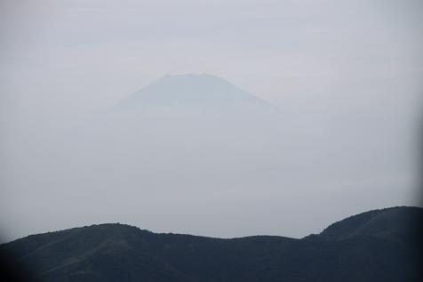b0055805_150337.jpg