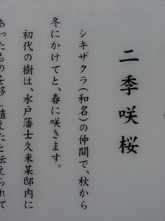 c0132205_8471394.jpg