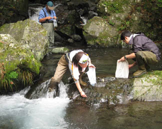 川海苔採り_e0036808_11464283.jpg