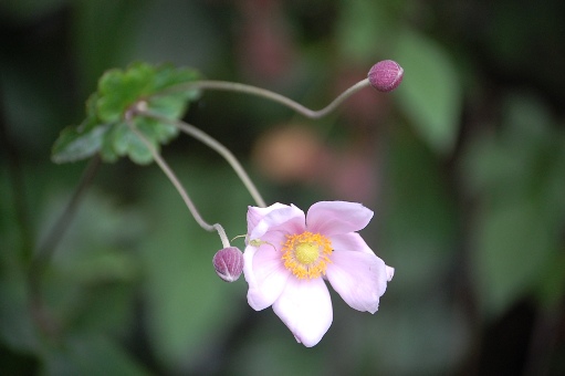 c0097309_2036223.jpg
