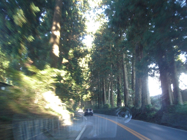 f0006510_19324371.jpg