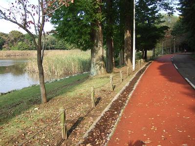 c0164212_16121627.jpg