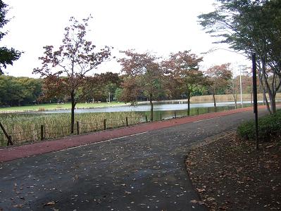 公園散歩_c0164212_1622317.jpg