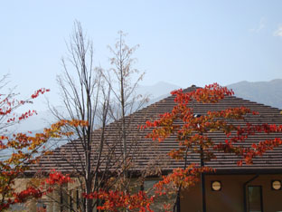 c0047814_18491136.jpg
