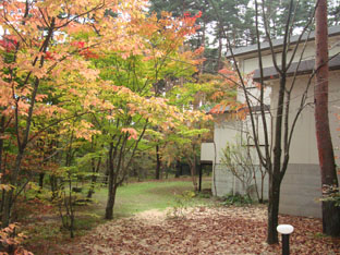 c0047814_18495226.jpg