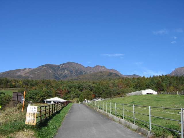 b0093515_729380.jpg
