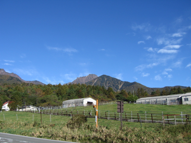 b0093515_7305666.jpg