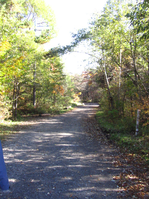 b0093515_7341869.jpg