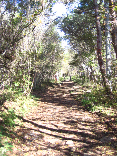 b0093515_7345768.jpg