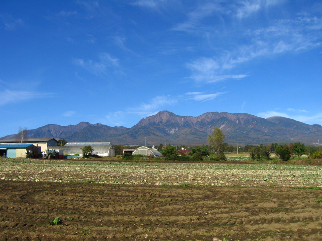 b0093515_7384054.jpg