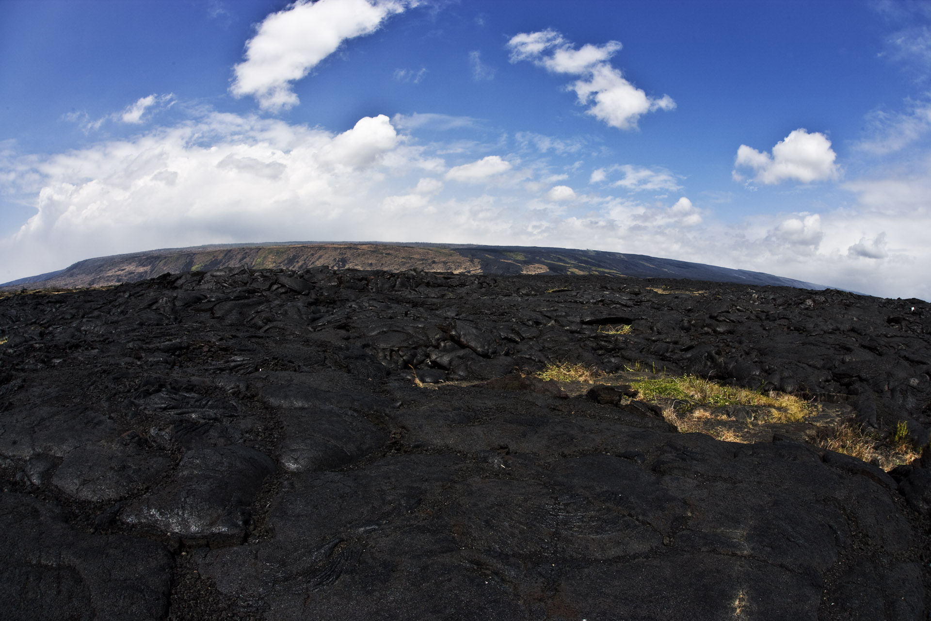 d0073620_23443577.jpg