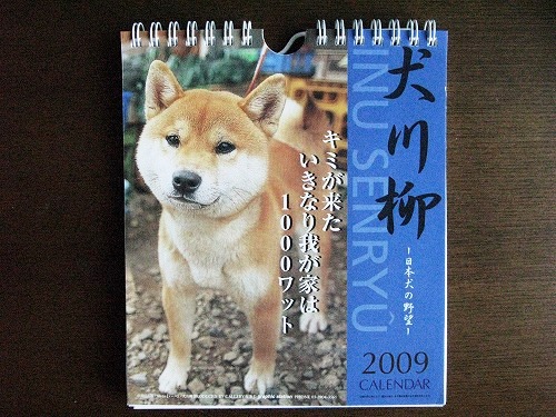 e0072023_2011724.jpg