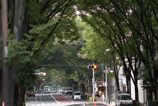 a0068424_22474888.jpg