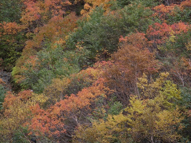 涸沢の紅葉を見ながら鍋を食うこと_d0111124_23452512.jpg