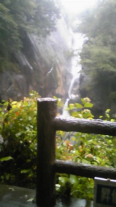c0109726_15305825.jpg