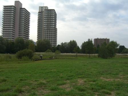 c0166634_093490.jpg